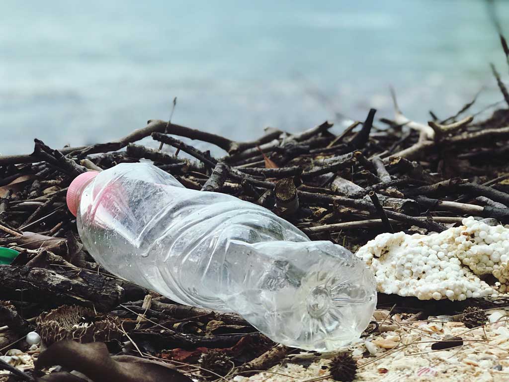 THE PLASTIC BOTTLE PREDICAMENT