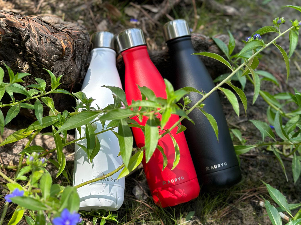 A SUSTAINABLE CHOICE FOR A GREENER PLANET